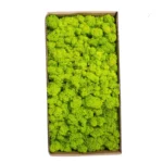 1500g Simulation Plants Eternal Life Moss /Garden Home Decor Wall DIY Flower Material Mini Garden Micro Landscape Fake Moss Gift - Image 3