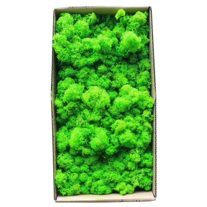 1500g Simulation Plants Eternal Life Moss /Garden Home Decor Wall DIY Flower Material Mini Garden Micro Landscape Fake Moss Gift - Image 1
