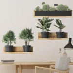 3PCS Green Plant Cactus Potted Wall Stickers for Bedroom Living Room Bathroom Home Decoartion Wall Decals - Image 3