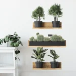 3PCS Green Plant Cactus Potted Wall Stickers for Bedroom Living Room Bathroom Home Decoartion Wall Decals - Image 4